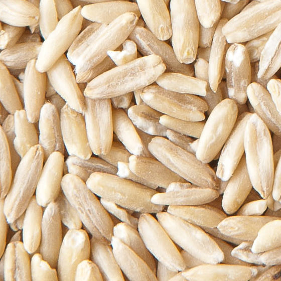 Whole oat kernels
